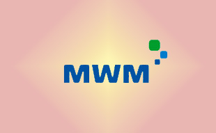 ✓ MWM 0228 8469 Запчасть MWM 